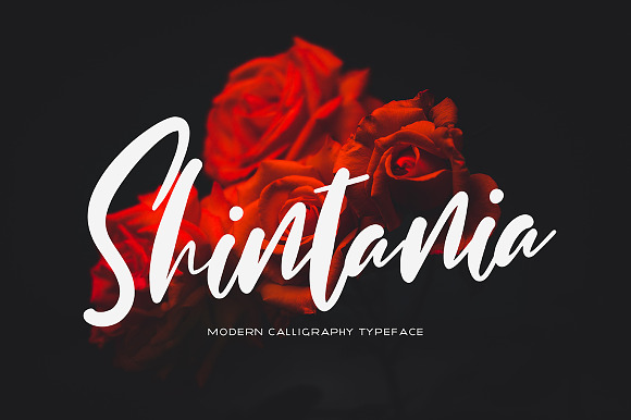 Shintania preview 6