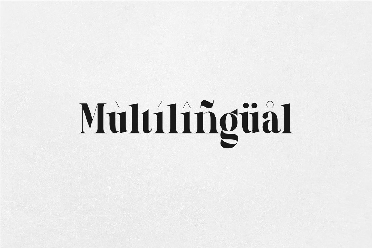 Luxinus Elegance Serif Family, a Serif Font by suhadidesign (Photo 14 of 16)