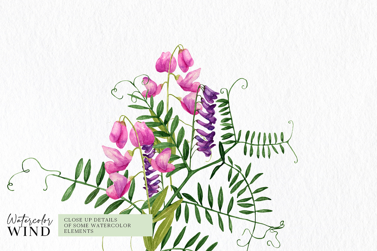 Wild floral clipart meadow flowers, an Illustration by Ksenia Shmakova (Photo 7 of 11)