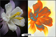 Thermography LUTs - Version 2, a Plug-in Add-On by Raztrend (Thumbnail 11 of 30)