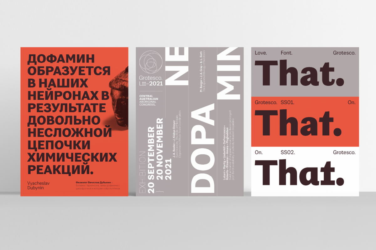 Grotesco, a Sans Serif Font by Latinotype (Photo 4 of 15)