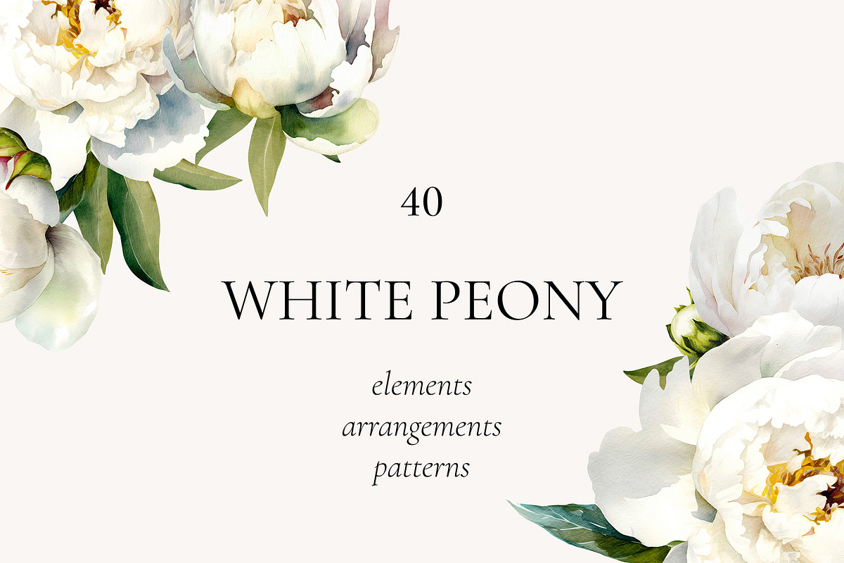 -30% Watercolor Peony Collection, an Object Illustration by bloomscape (Photo 1 of 8)