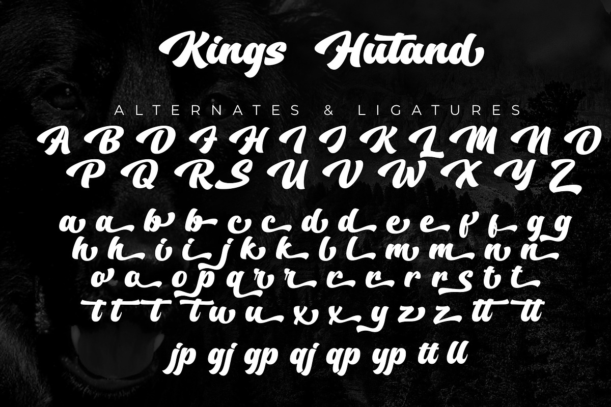 Kings Hutand Modern Bold Script, a Script Font by Multype Studio (Photo 14 of 15)