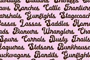 WILD AND WESTERN Font Bundle, a Handwritten Font by Blush Font Co. (Thumbnail 3 of 9)