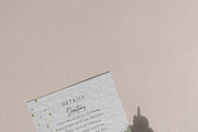 BEIGE AESTHETICS graphic bundle, a Texture Graphic by Anna Sokol (Thumbnail 110 of 114)