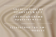Arniya – Elegant Display Serif Font, a Serif Font by BrandSemut (Thumbnail 9 of 10)