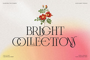 Frosty Garden - Elegant Retro Serif, a Serif Font by SilverStag Type Foundry (Thumbnail 18 of 19)