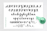 Certhian Script, a Script Font by Solidtype (Thumbnail 9 of 9)