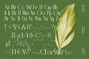 Classic Makore Modern Serif Font, a Serif Font by timelesstype.co (Thumbnail 18 of 20)