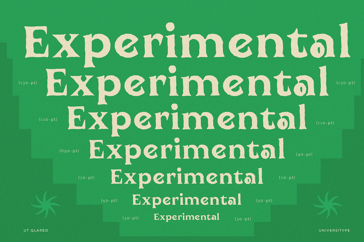 UT Qlared - A Flare Serif Font, a Serif Font by Universitype (Photo 9 of 14)