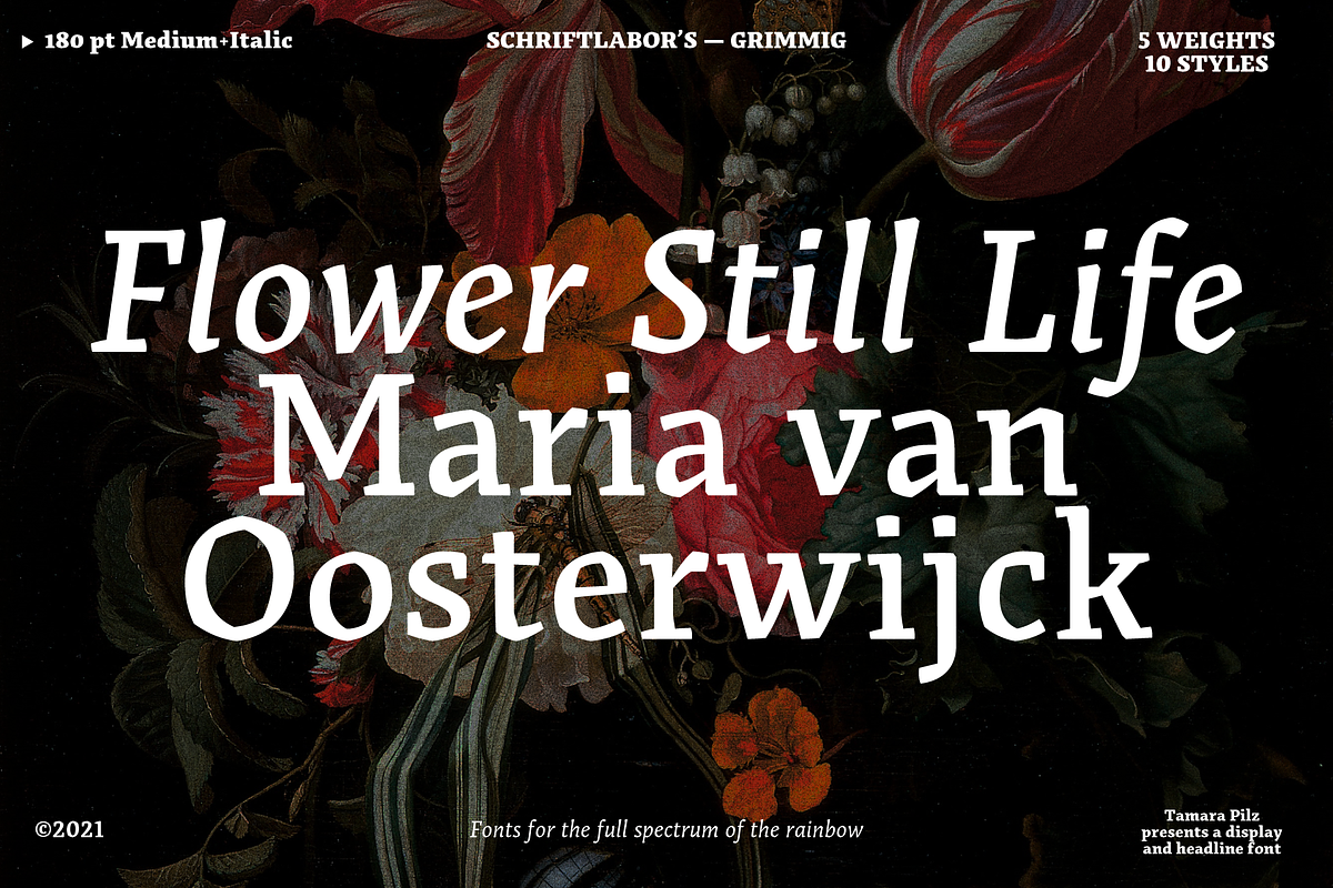 Grimmig, a Serif Font by Schriftlabor (Photo 2 of 8)
