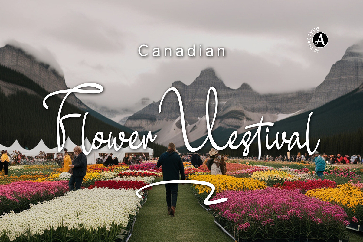 Special Regards Signature Fonts, a Script Font by Attractype (Photo 3 of 8)
