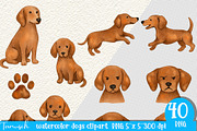 Watercolor Dog - Dachshund CLIPART, an Animal Illustration by TanuschArts (Thumbnail 6 of 6)