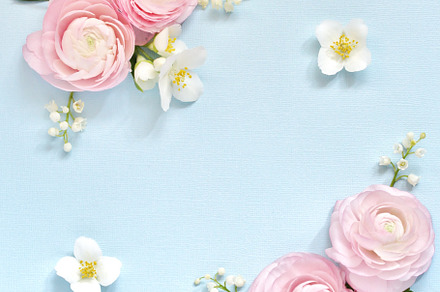 pink Ranunculus background, a Photo by shabbydecor