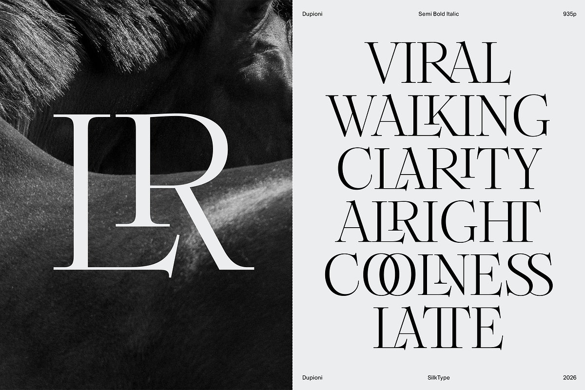 Dupioni - 6 font family, a Serif Font by Silktype (Photo 2 of 21)