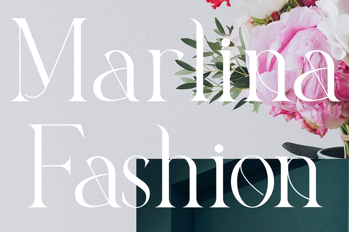 Balona Modern Serif, a Serif Font by Maryamtype Studio (Photo 2 of 13)