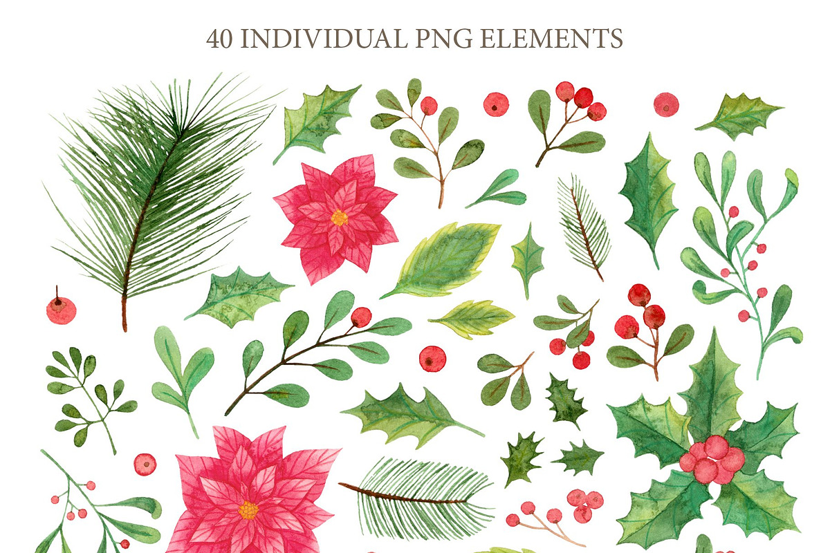 Xmas winter plants. Watercolor set, a Seasonal Illustration by alenaganzhela (Photo 2 of 9)