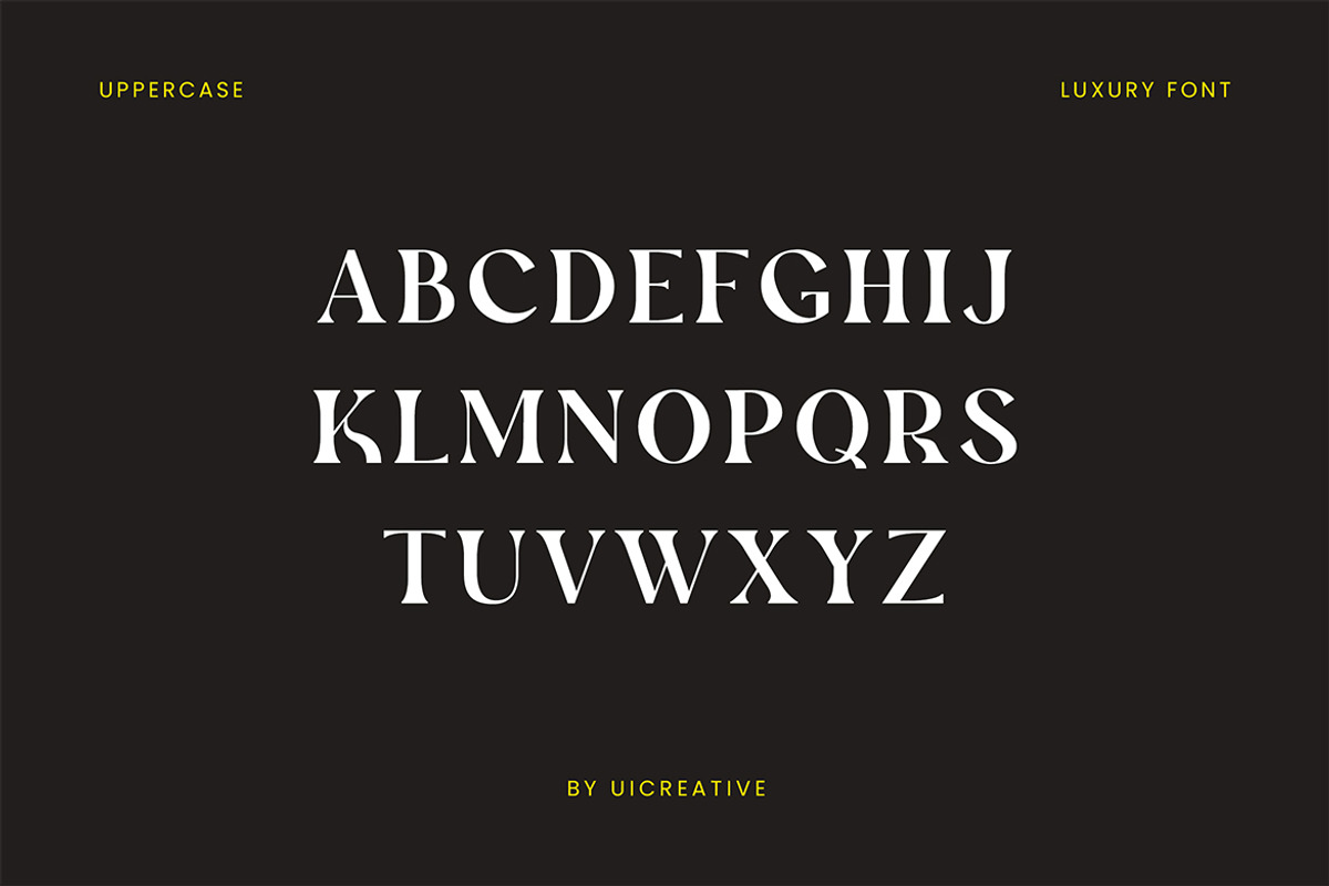 Xander Swordfish Ligature Serif Font, a Serif Font by UICreative (Photo 6 of 13)
