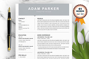 Resume/CV Bundle | 200+ for $29, a Resume Template by ResumeInventor (Thumbnail 192 of 207)