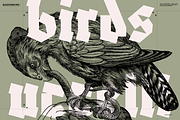 Birds of the World Illustrations, an Animal Illustration by Nomad Visuals (Thumbnail 1 of 12)