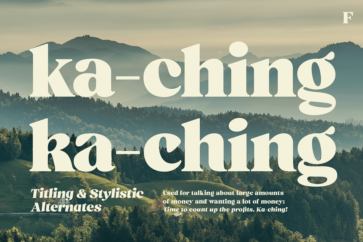 Ashford Stylish Serif, a Serif Font by Fenotype (Photo 5 of 11)