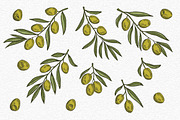 Olive Vintage Graphics Set, a Decorative Illustration by Chelovector (Thumbnail 2 of 5)