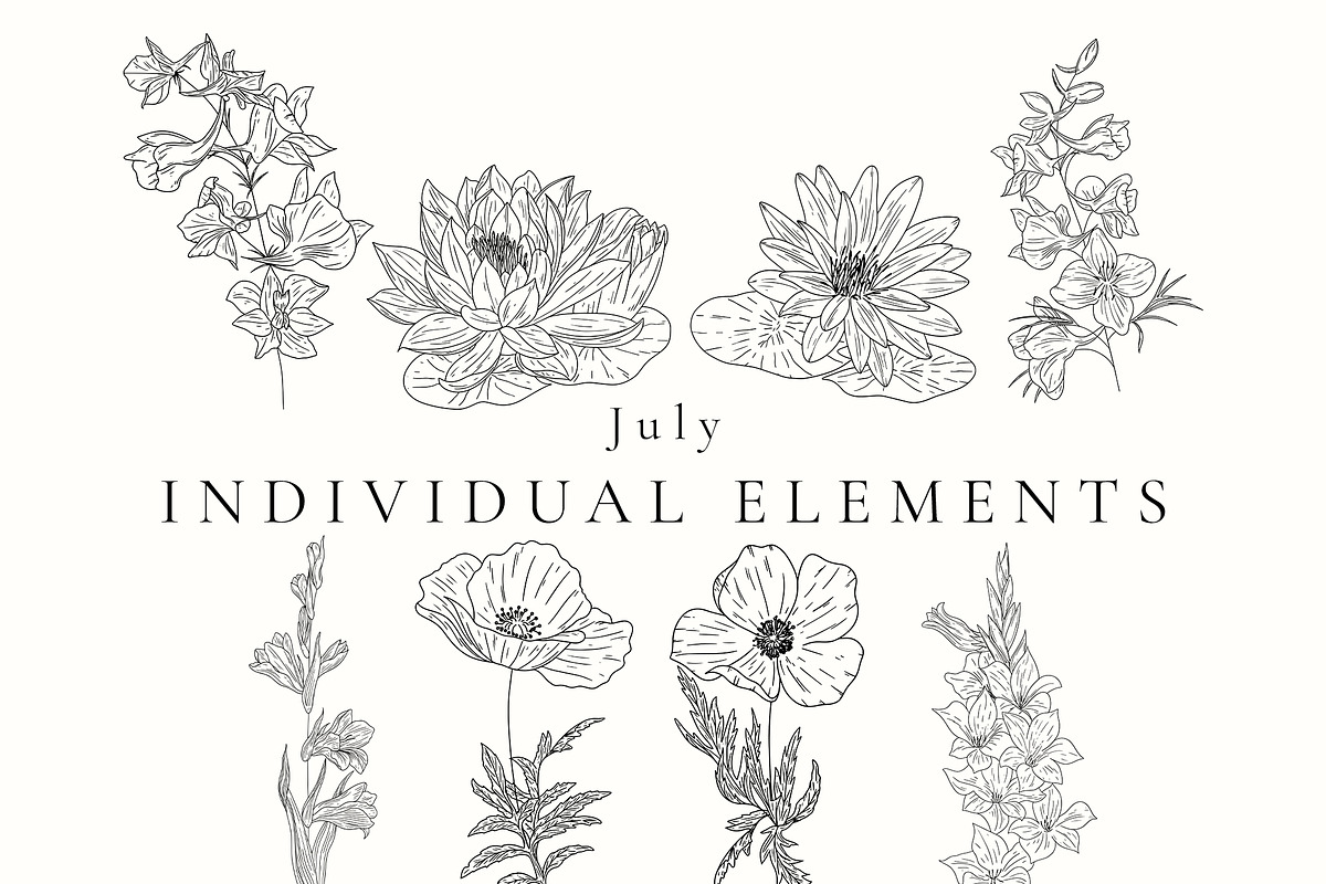 Birth Month Flowers SVG - PNG, a Decorative Illustration by AW Studios (Photo 6 of 11)