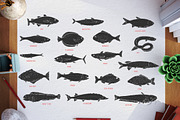 Fish, an Animal Illustration by CGterminal (Thumbnail 2 of 7)