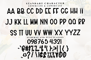 Bubble Florida, a Script Font by FreshTypeINK (Thumbnail 6 of 8)