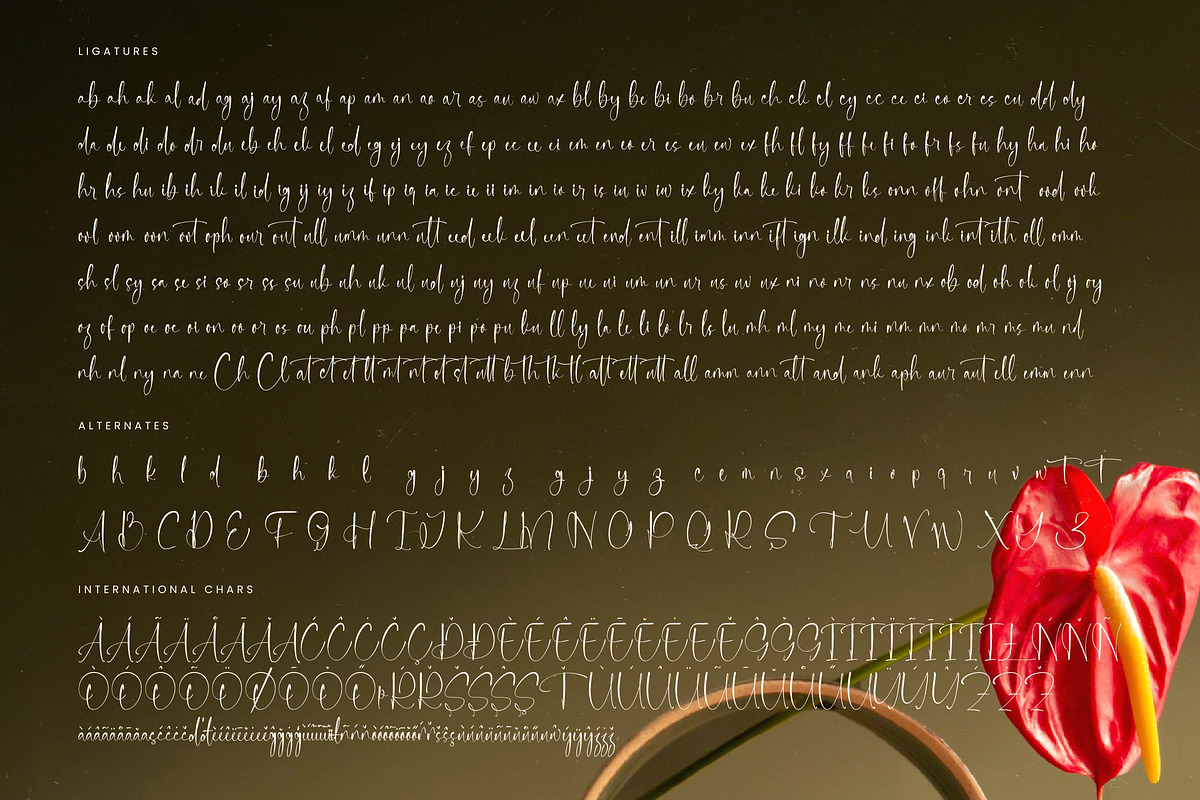 Delicately Stylish Handwritten Font, a Serif Font by stylishtype.co (Photo 19 of 20)