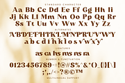 Richmond, a Serif Font by Umitype (Thumbnail 7 of 10)