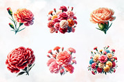 Carnation Flower Watercolor Clipart, an Illustration by RobertsArt (Thumbnail 5 of 8)