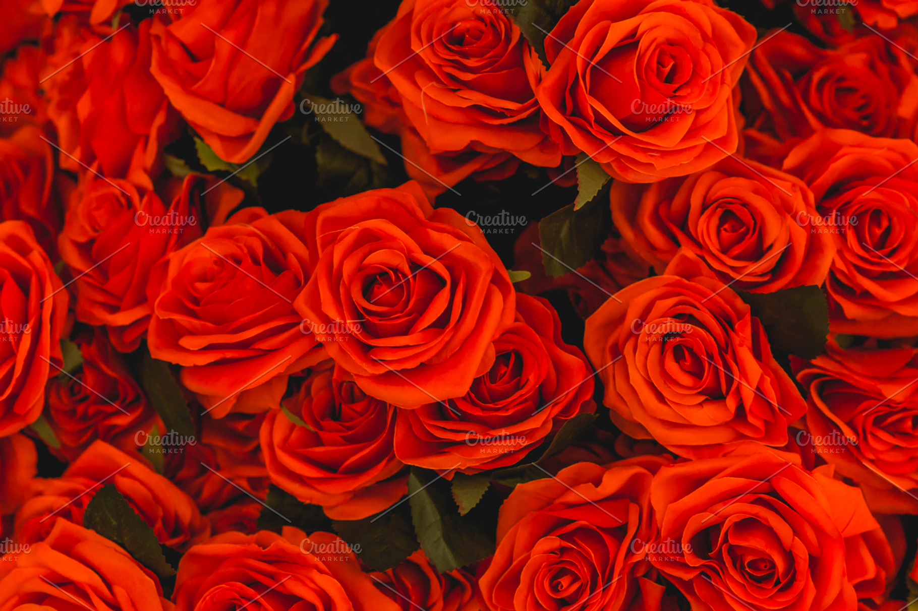 Red roses background featuring rose, red, and background, an Abstract ...