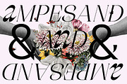Cholleo Display, a Serif Font by Dora Typefoundry (Thumbnail 10 of 18)