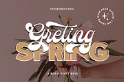 Greting Spring Duo, a Script Font by Letter Fresh (Thumbnail 1 of 13)