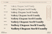 Valiety, a Serif Font by din-studio.com (Thumbnail 9 of 10)