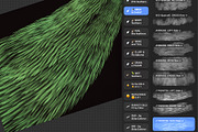Plumage Atelier. Procreate Brushes, a Brush Add-On by Eldar Zakirov's (Thumbnail 15 of 25)