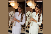 MAJESTIC Desktop Lightroom Presets, an Action Add-On by 123PRESETS.COM (Thumbnail 3 of 9)