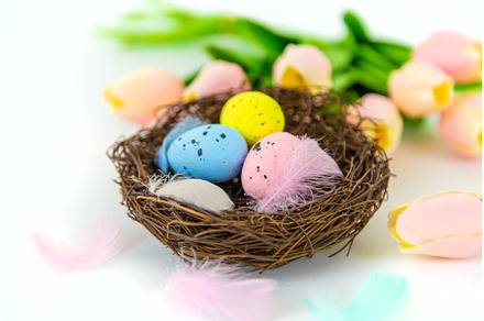 Beautiful Easter decor on a white, a Holiday Photo by yanadjana