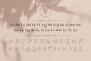 Romelio - Font Duo, a Sans Serif Font by Arterfak Project (Thumbnail 13 of 15)