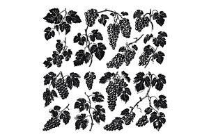 Various Sprigs of Grapes Linocut, a Food Illustration by LadadikArt