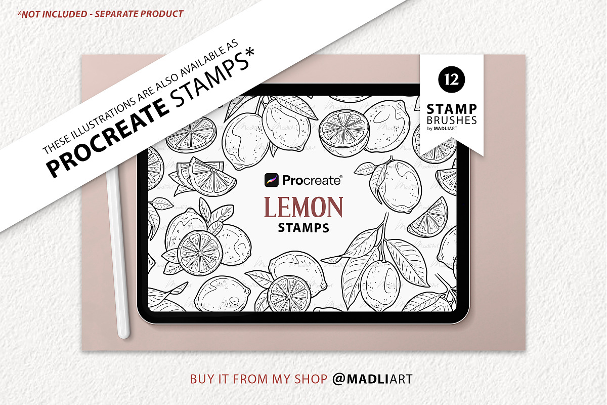 Lemon Citrus Vector Line Art Set, a Decorative Illustration by MadliArt (Photo 4 of 4)