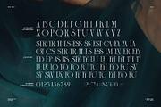 Fox Thess Elegant Serif Font, a Serif Font by Perfectype (Thumbnail 8 of 8)