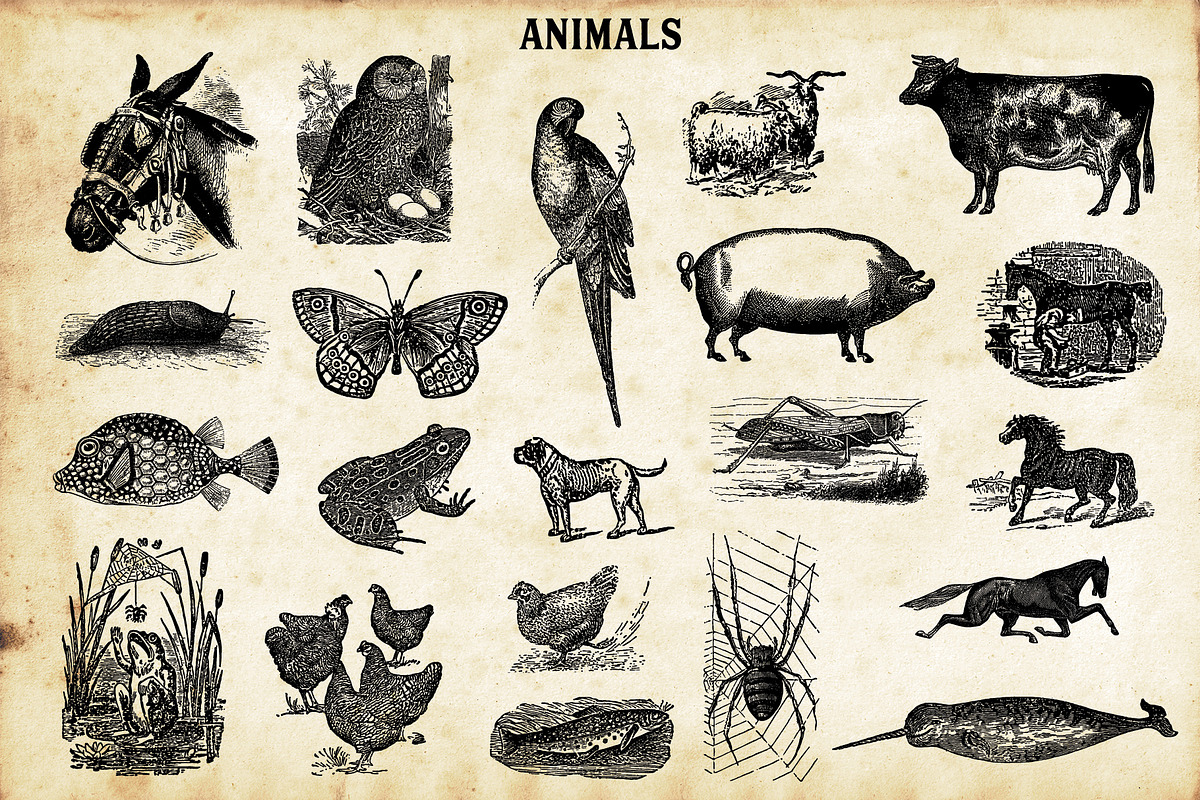 Vintage Newspaper Creator, a Brushes & More by The Artifex Forge (Photo 17 of 23)