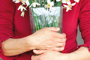 Woman holding narcissus flowers, a Person Photo by BOOCYS