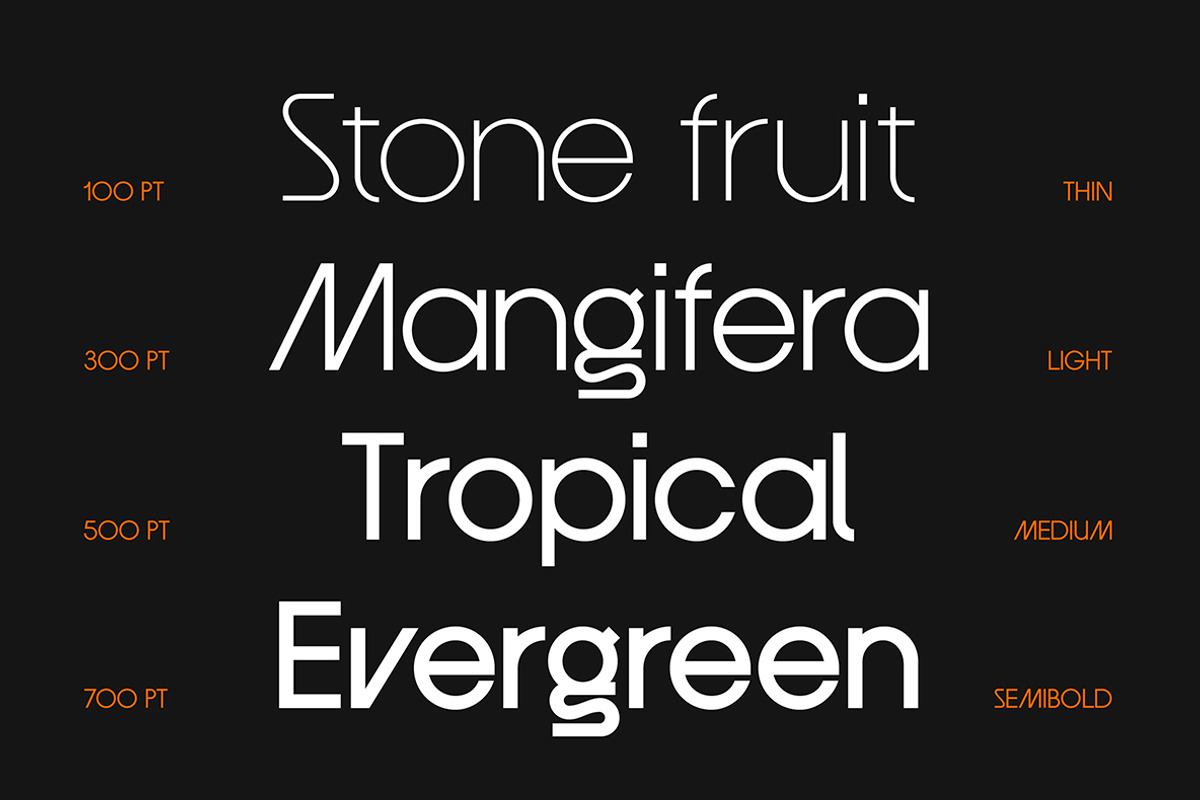 Mangos Sans, a Sans Serif Font by Mabütype (Photo 9 of 9)