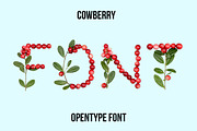 Cowberry Font, a Font by Handmadefont (Thumbnail 1 of 8)