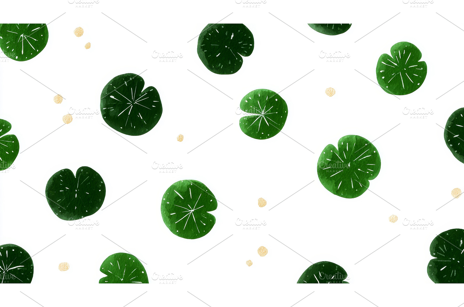 Vibrant green leaves of Centella, a Nature Photo by ZinetroN