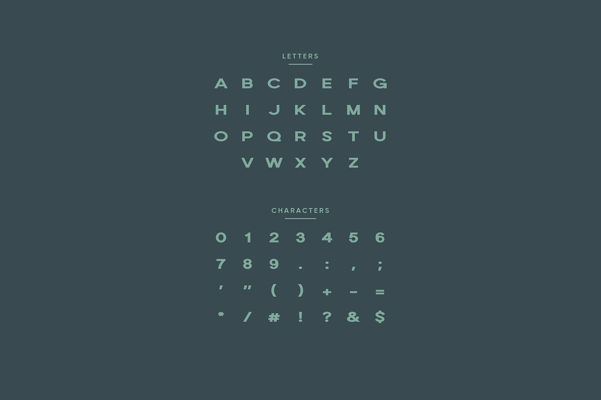 Eforte - Modern Display Typeface, a Font by Letterna (Photo 3 of 4)