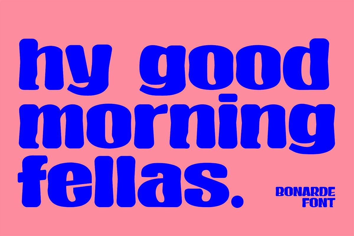 Bonarde a Sans Serif Display Font, a Sans Serif Font by Rasiorise Studio (Photo 2 of 12)